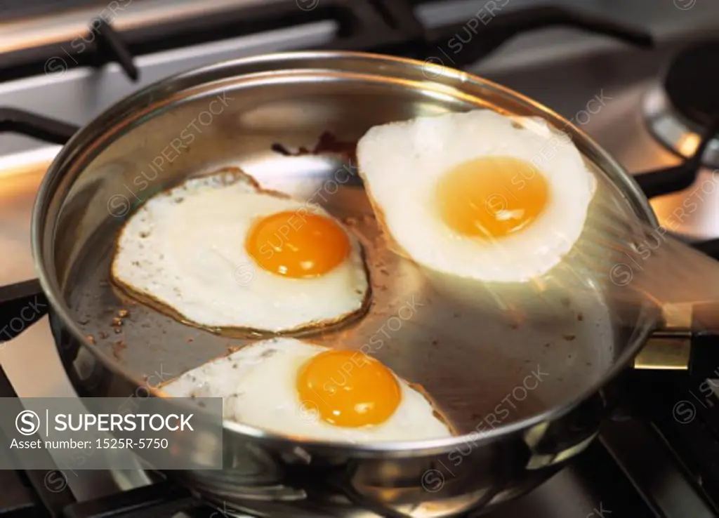 Close-up of eggs being fried in a pan