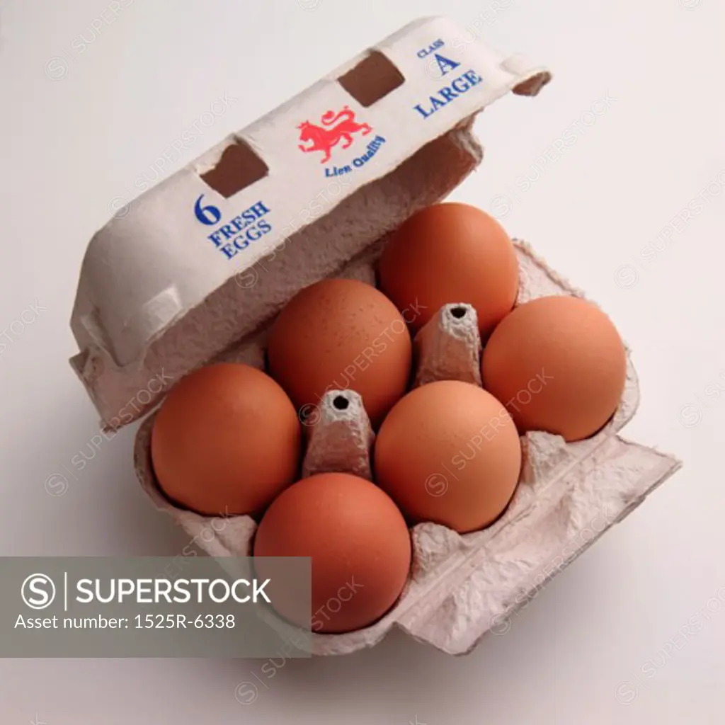 Close-up of eggs in a carton