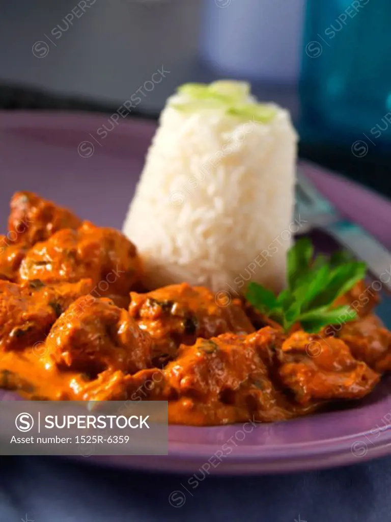 Close-up of chicken curry with boiled rice on a plate