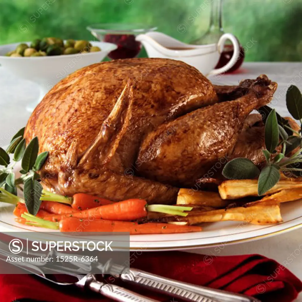 Close-up of roasted turkey on a plate