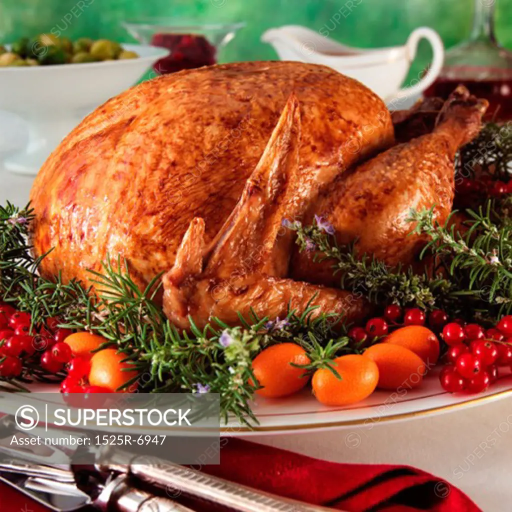 Close-up of roast turkey on a plate