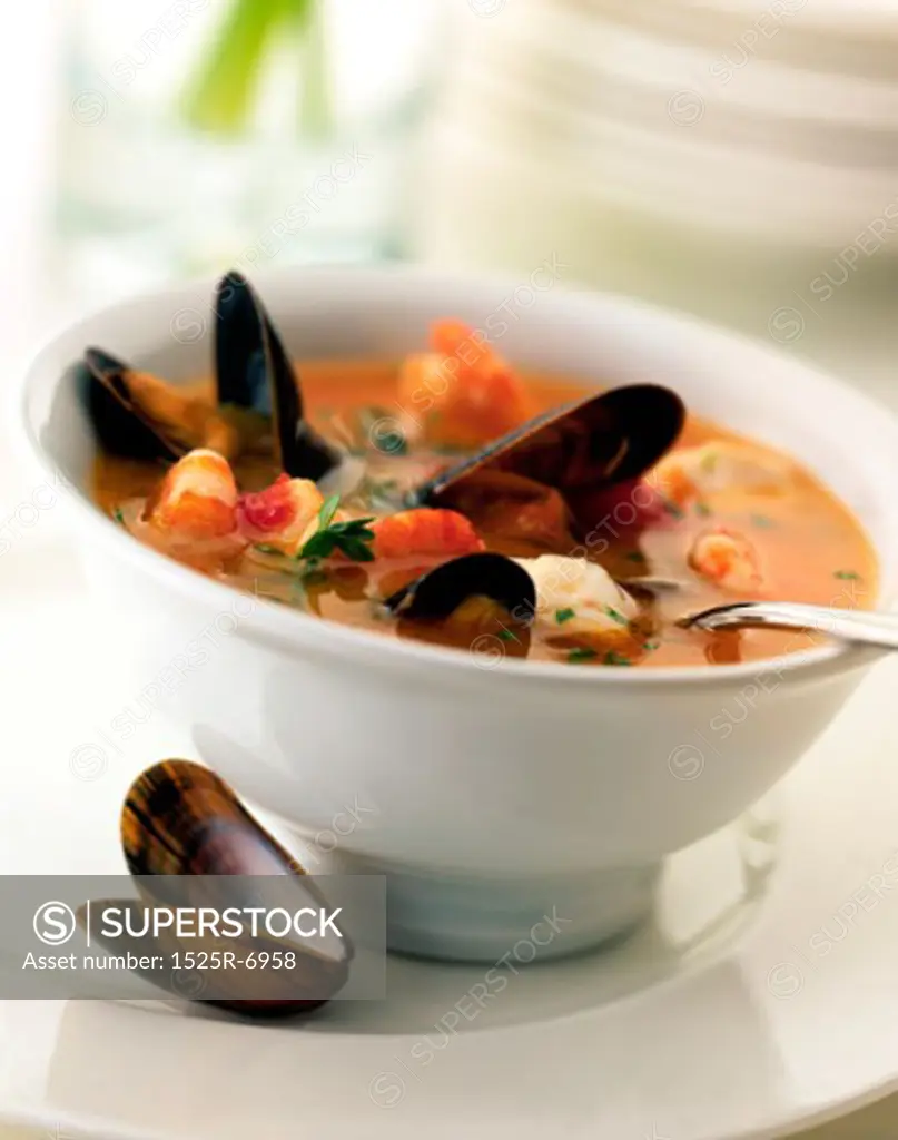 Close-up of mussel soup in a bowl