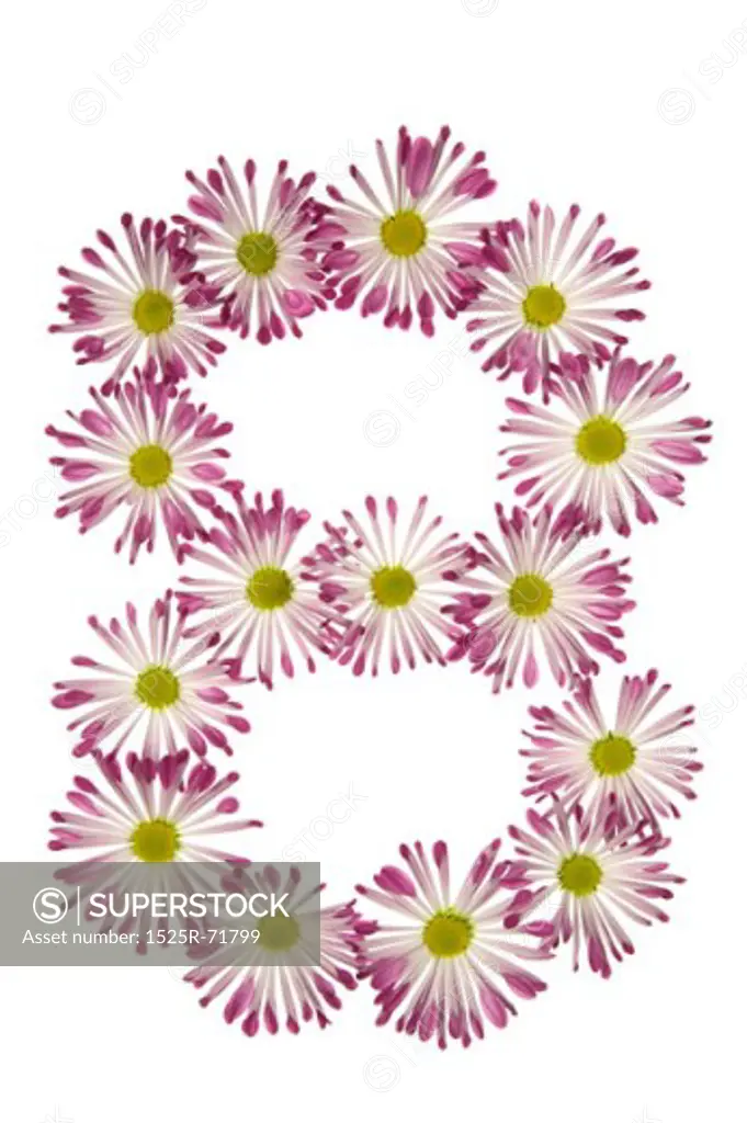 An Eight Made Of Pink And White Daisies