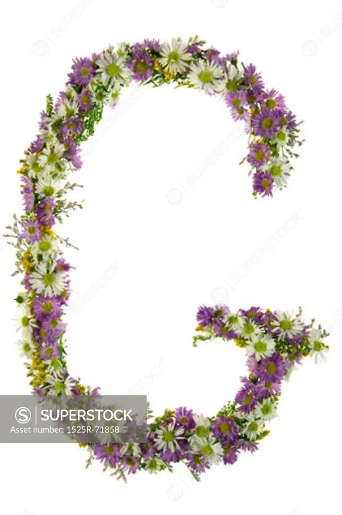 Letter G In A Purple And White Flower Font