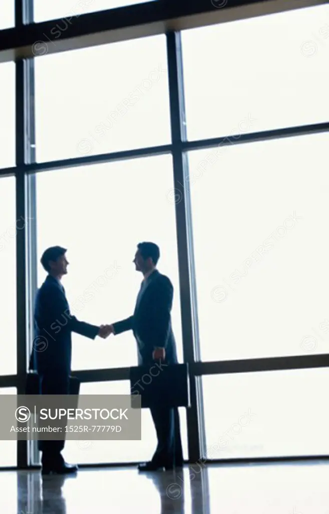 Side profile of two businessmen shaking hands