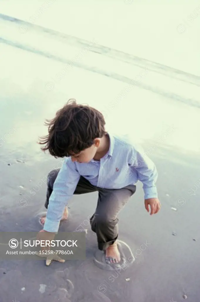 High angle view of a boy picking up a starfish