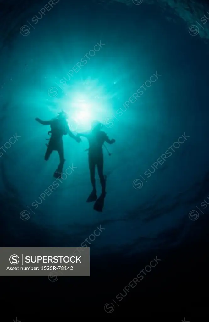 Low angle view of two scuba divers underwater