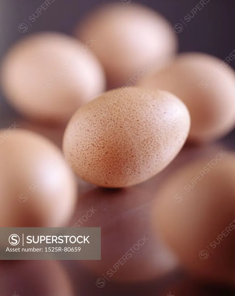 Close-up of eggs on a table