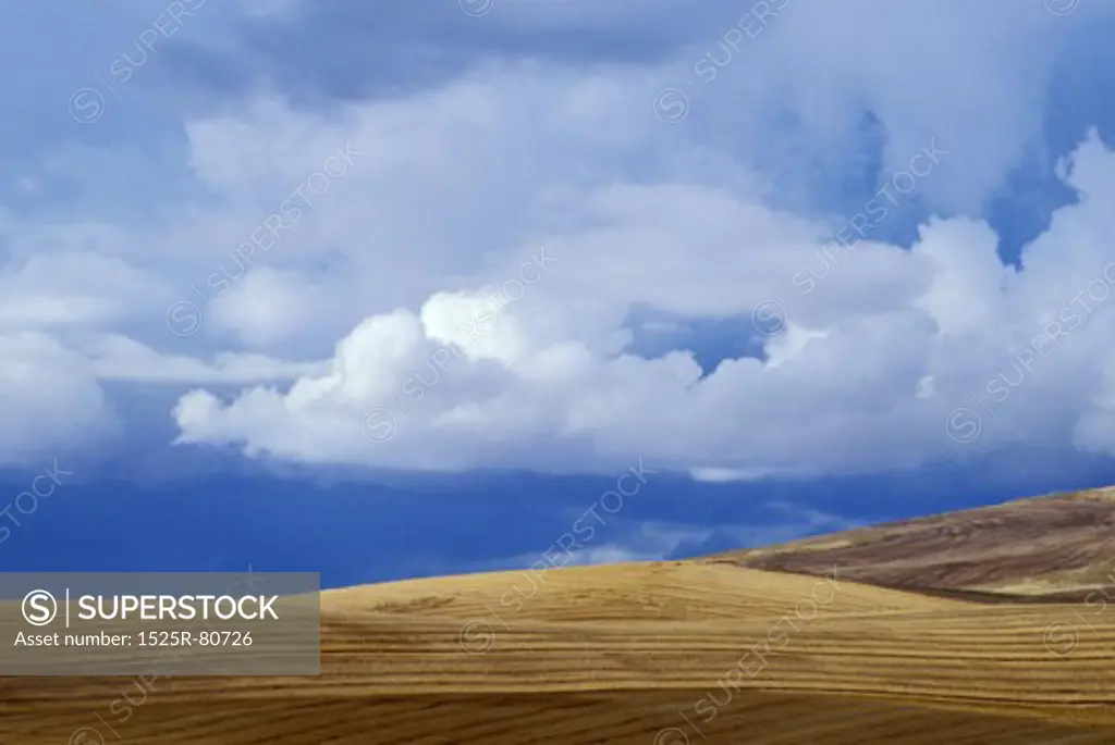 Cloud over a landscape