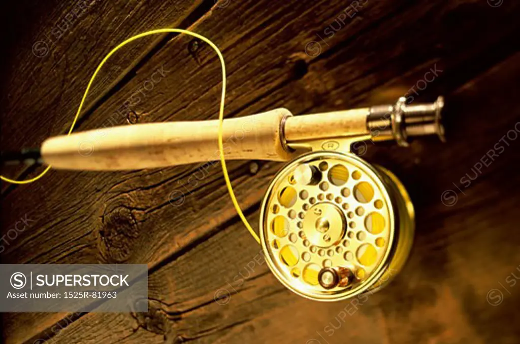 Fishing rod with a reel