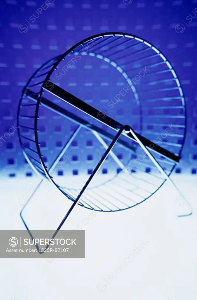Close-up of an exercise wheel