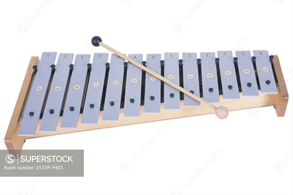 xylophone 