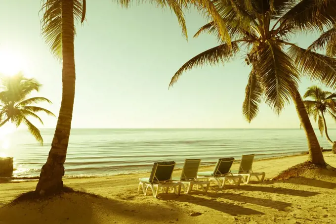 Tropical Beach Retro Background. Palm trees with deckchairs on tropical beach as retro background
