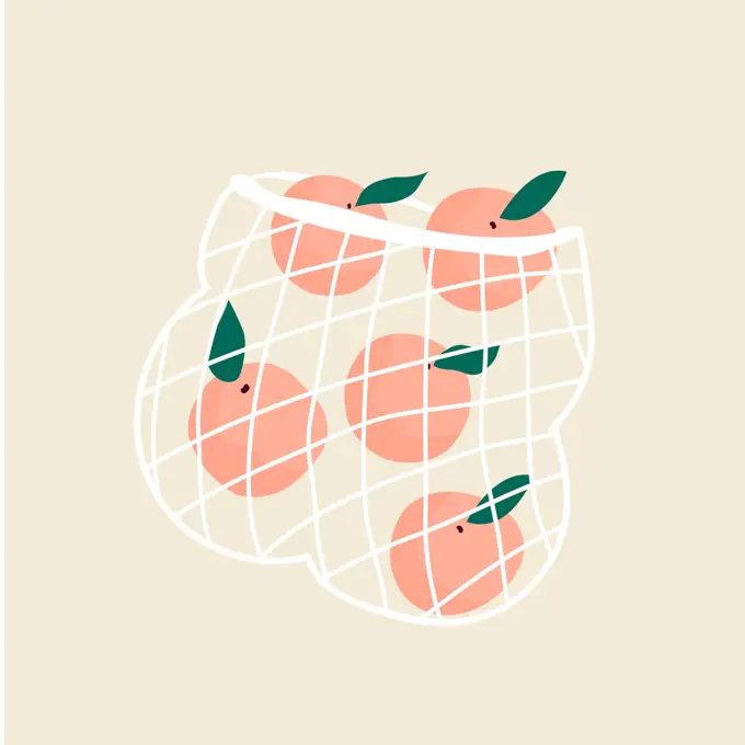 Juicy ripe peaches in a mesh eco bag. Vector illustration, design. Juicy ripe peaches in a mesh eco bag. Vector illustration