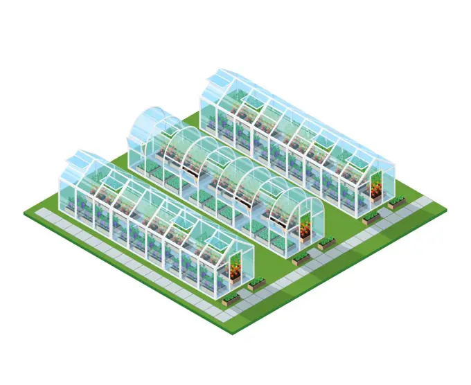 Greenhouses Isometric Location. Greenhouses isometric location with eco natural healthy seeding vegetables and plants isolated vector illustration