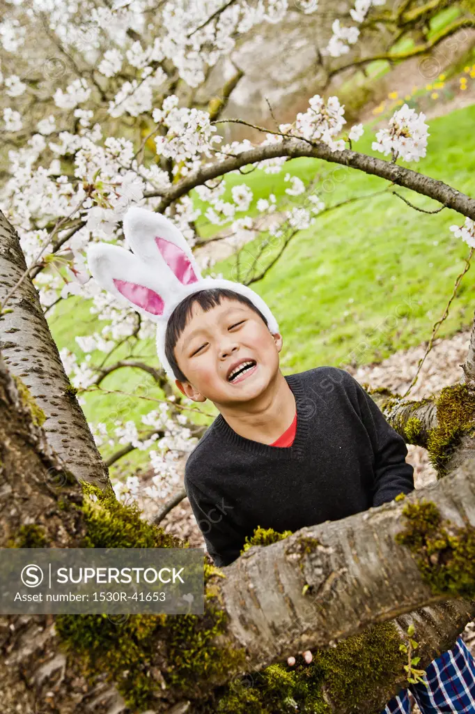 Boy wearing bunny ears