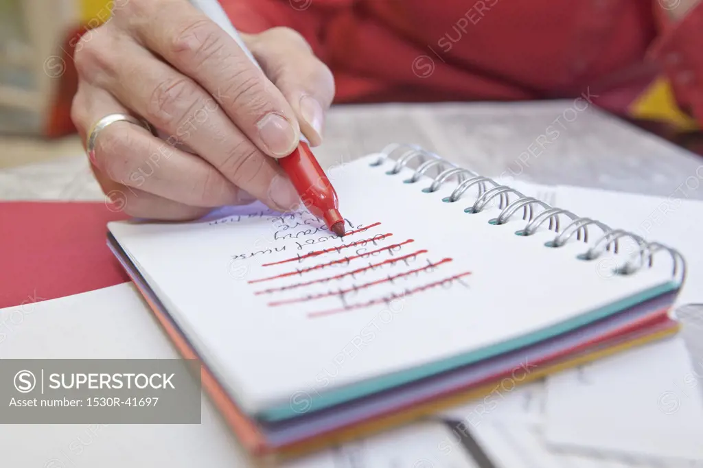Woman making list in small notebook,