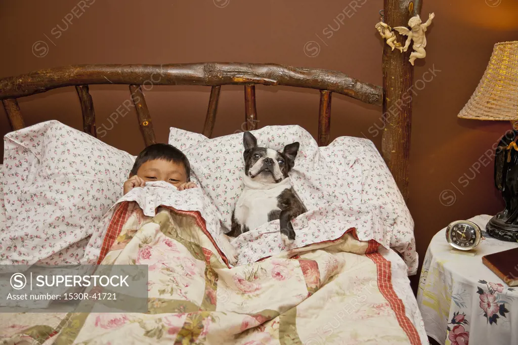 Boy in bed with Boston terrier,