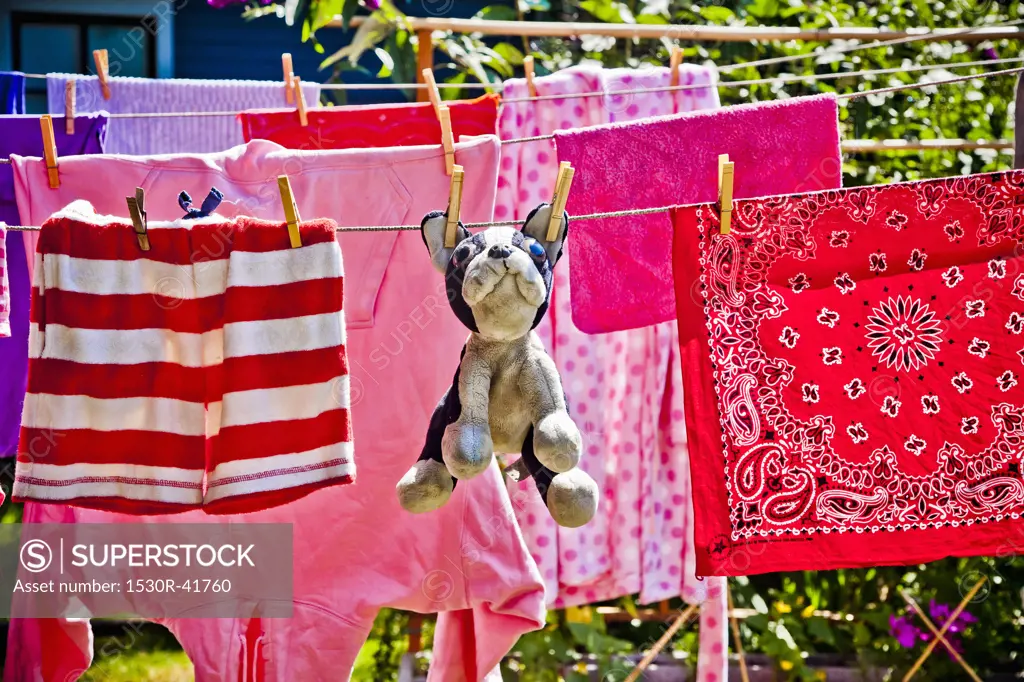 Laundry and stuffed dog hanging on outdoor lines,