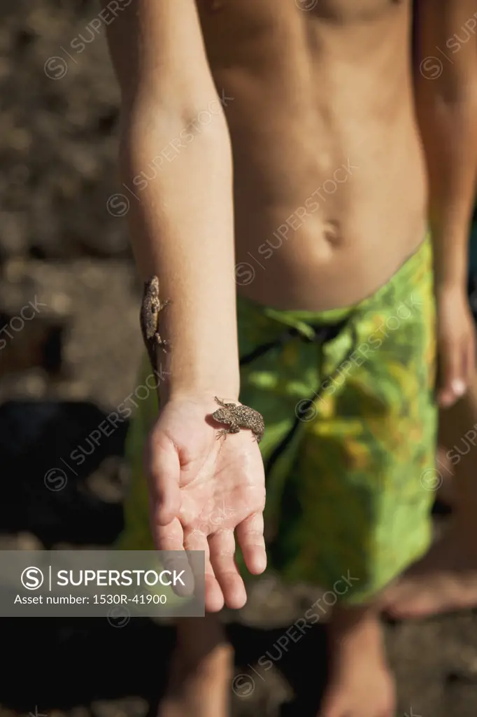 Young boy with geckos on his arm