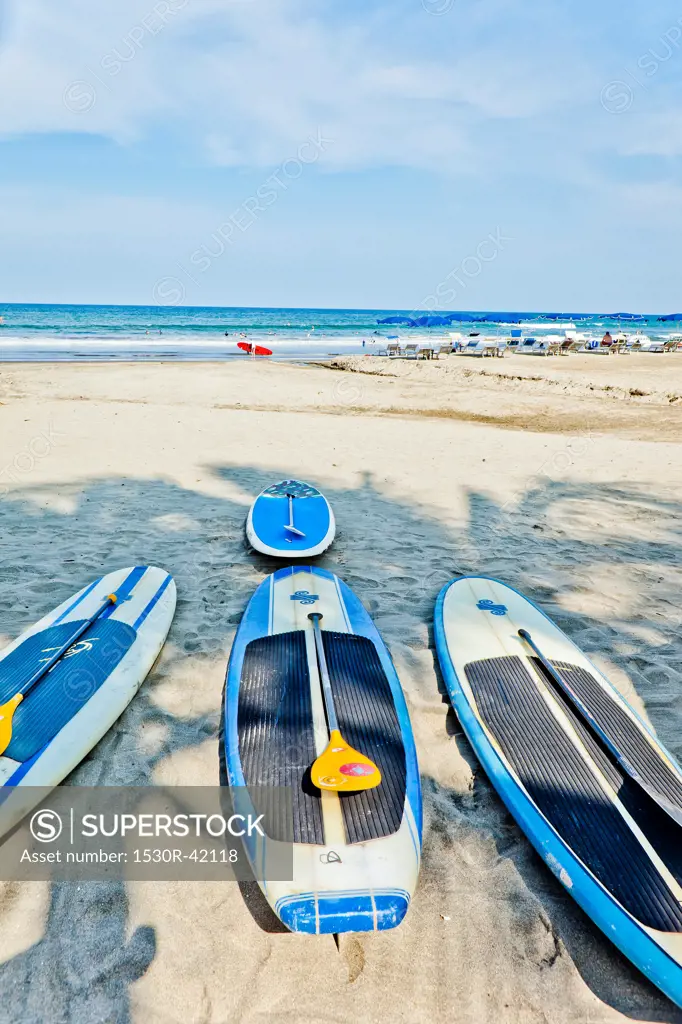 Row of paddle boards on beach