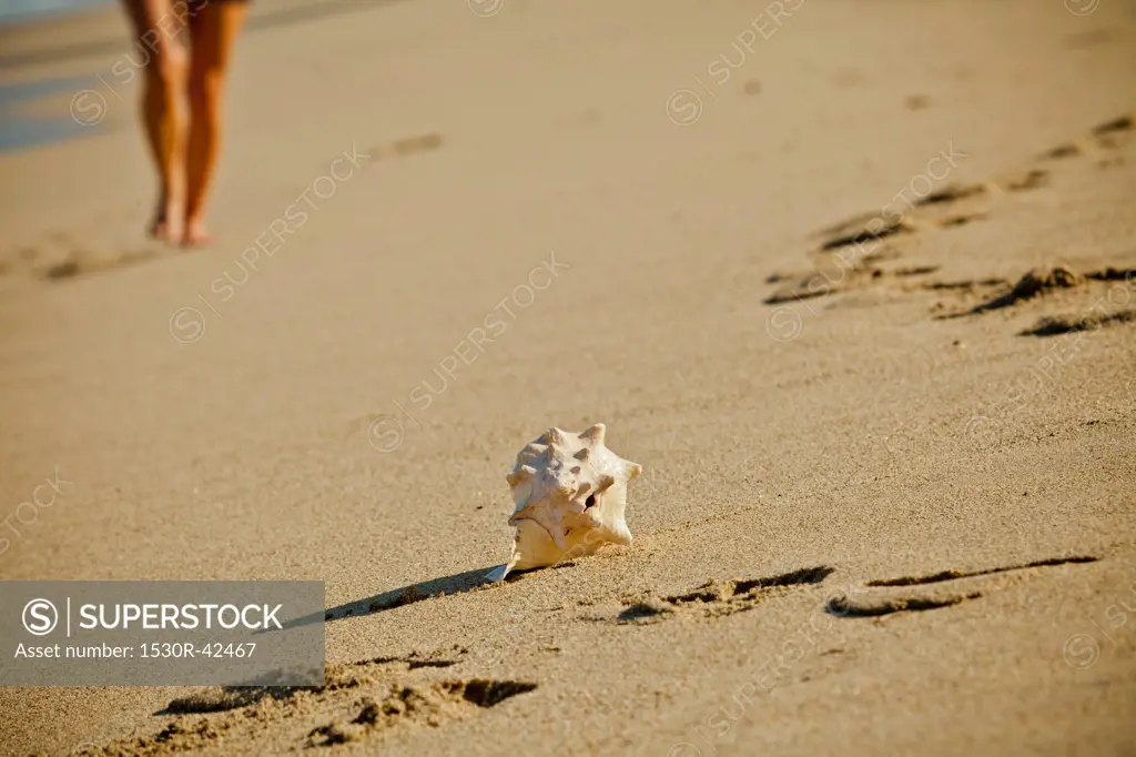 Woman walking on beach toward seashell