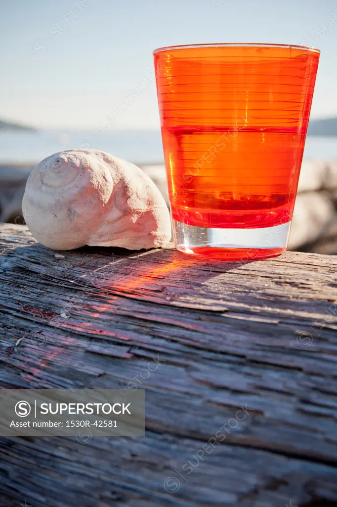 Orange cup on driftwood log