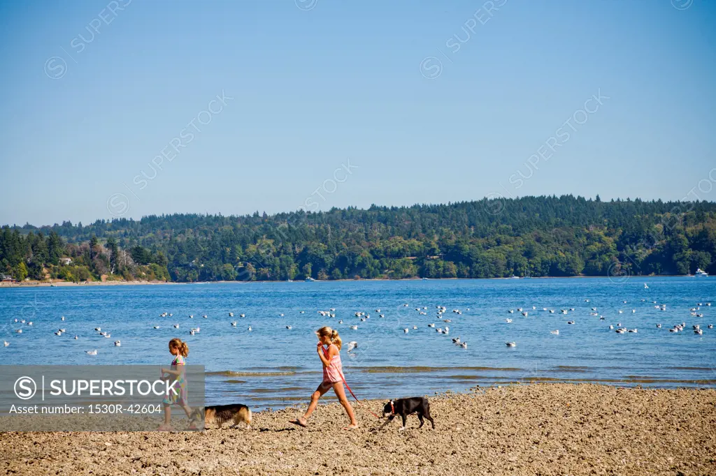 Young girls walking dogs on beach