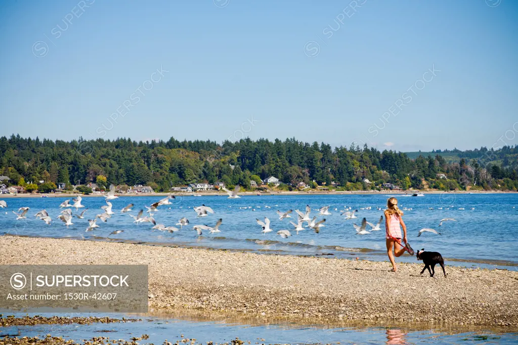 Young girl chasing gulls on beach