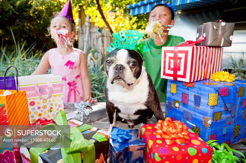 Two children and dog at outdoor birthday party