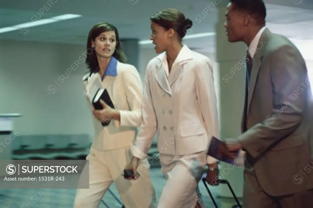 Side profile of business executives walking together