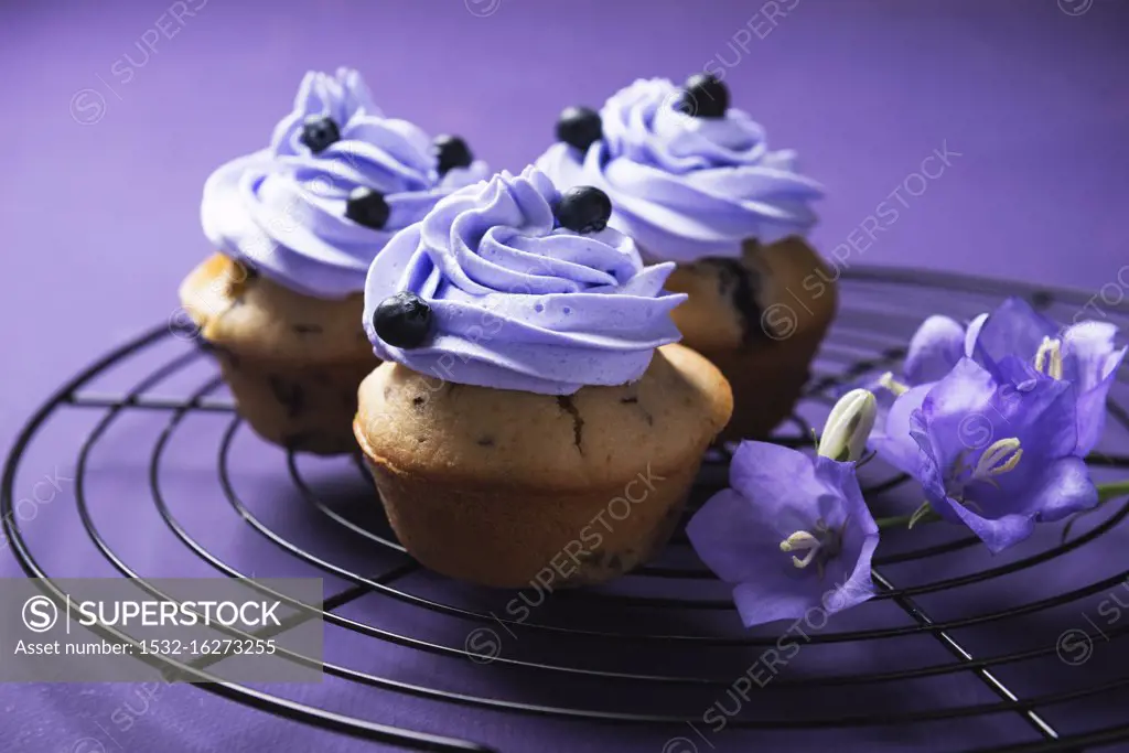 Vegan blueberry cupcakes with blueberry cream topping