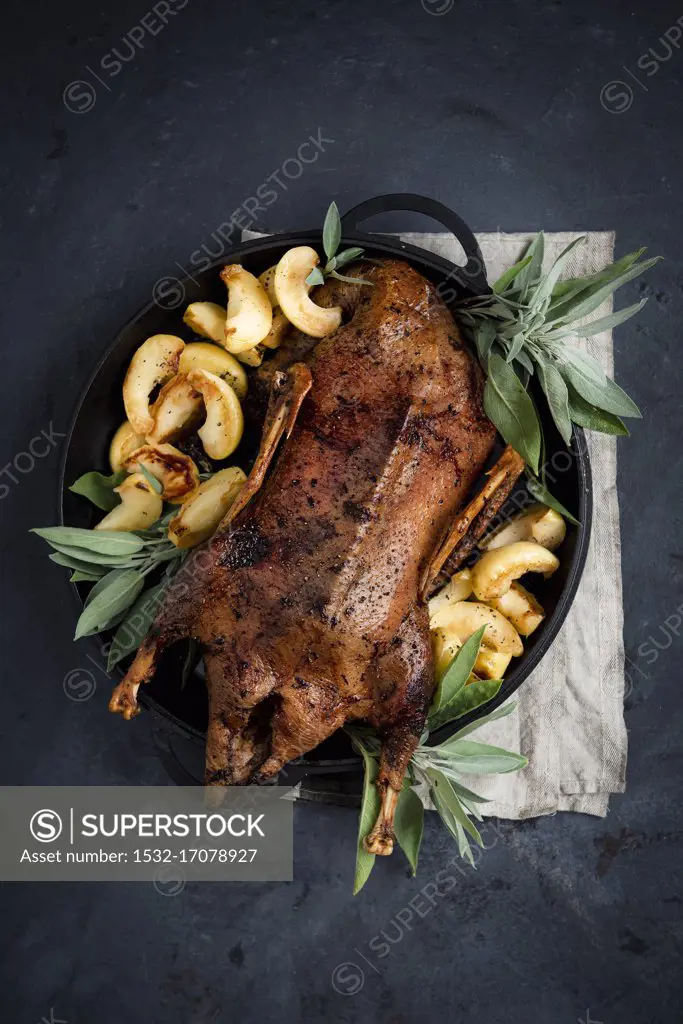 Roasted duck with fried apples and sage
