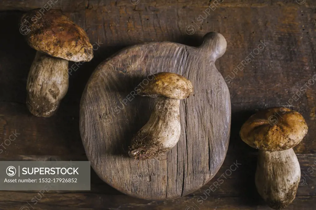 Raw whole porcini or on cutting board