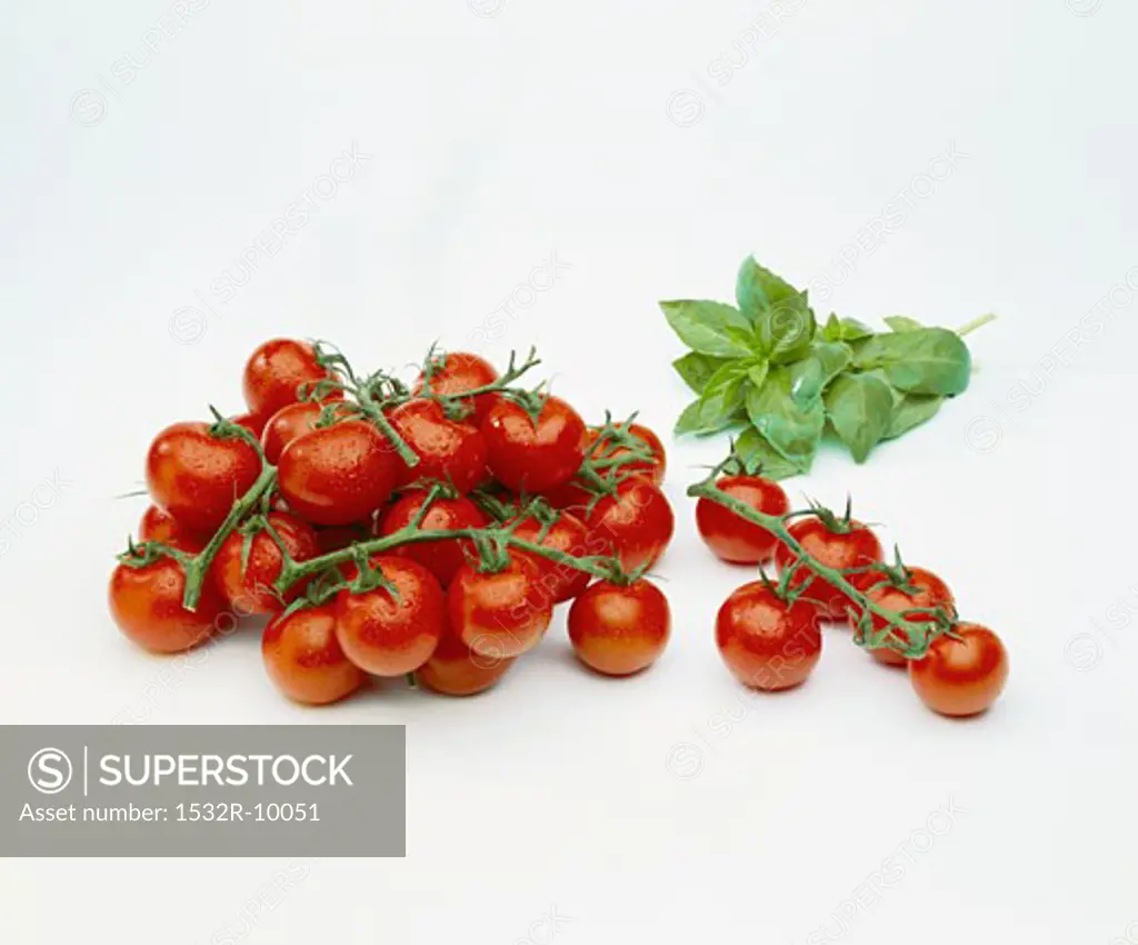 Still life with vine tomatoes and basil leaves