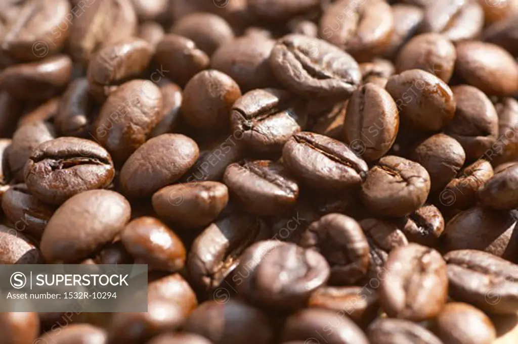 Coffee beans (filling the picture)
