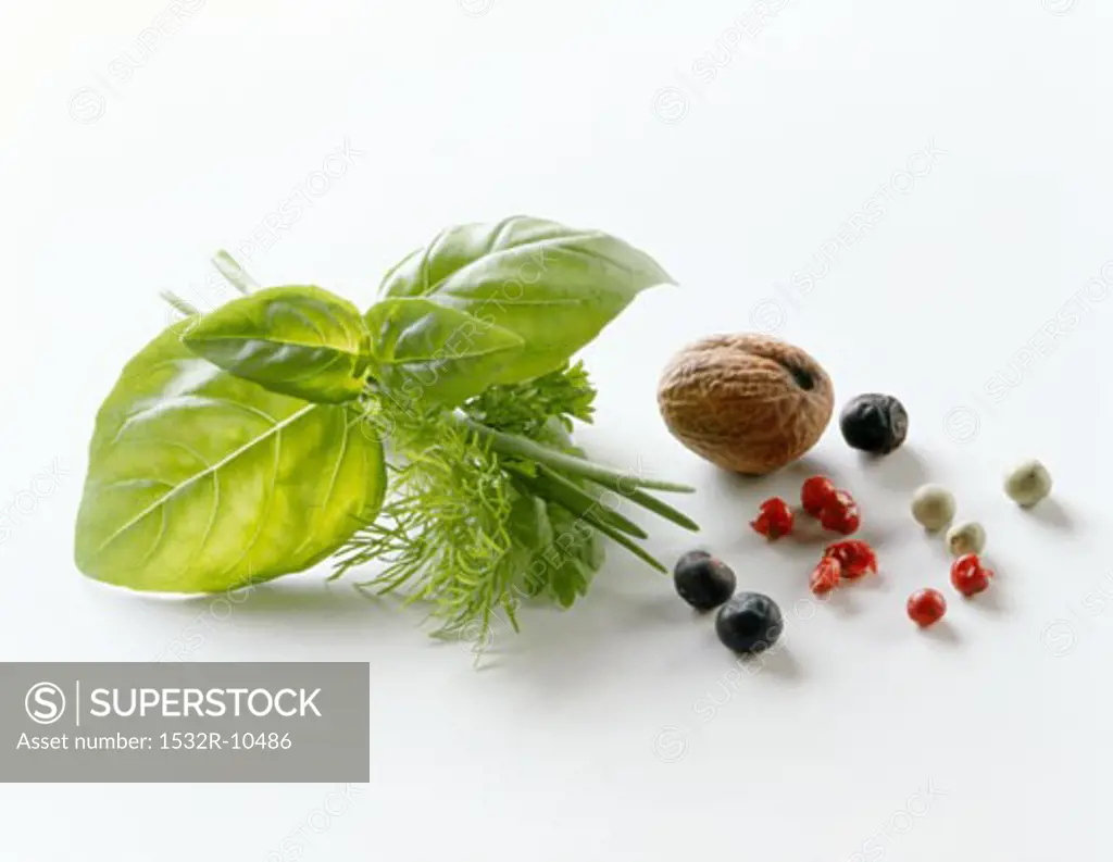 Herb and spice still life