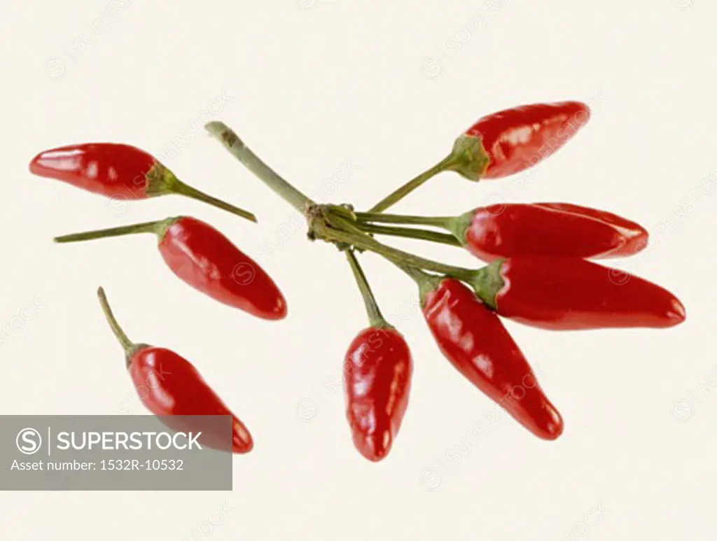 Red chili peppers