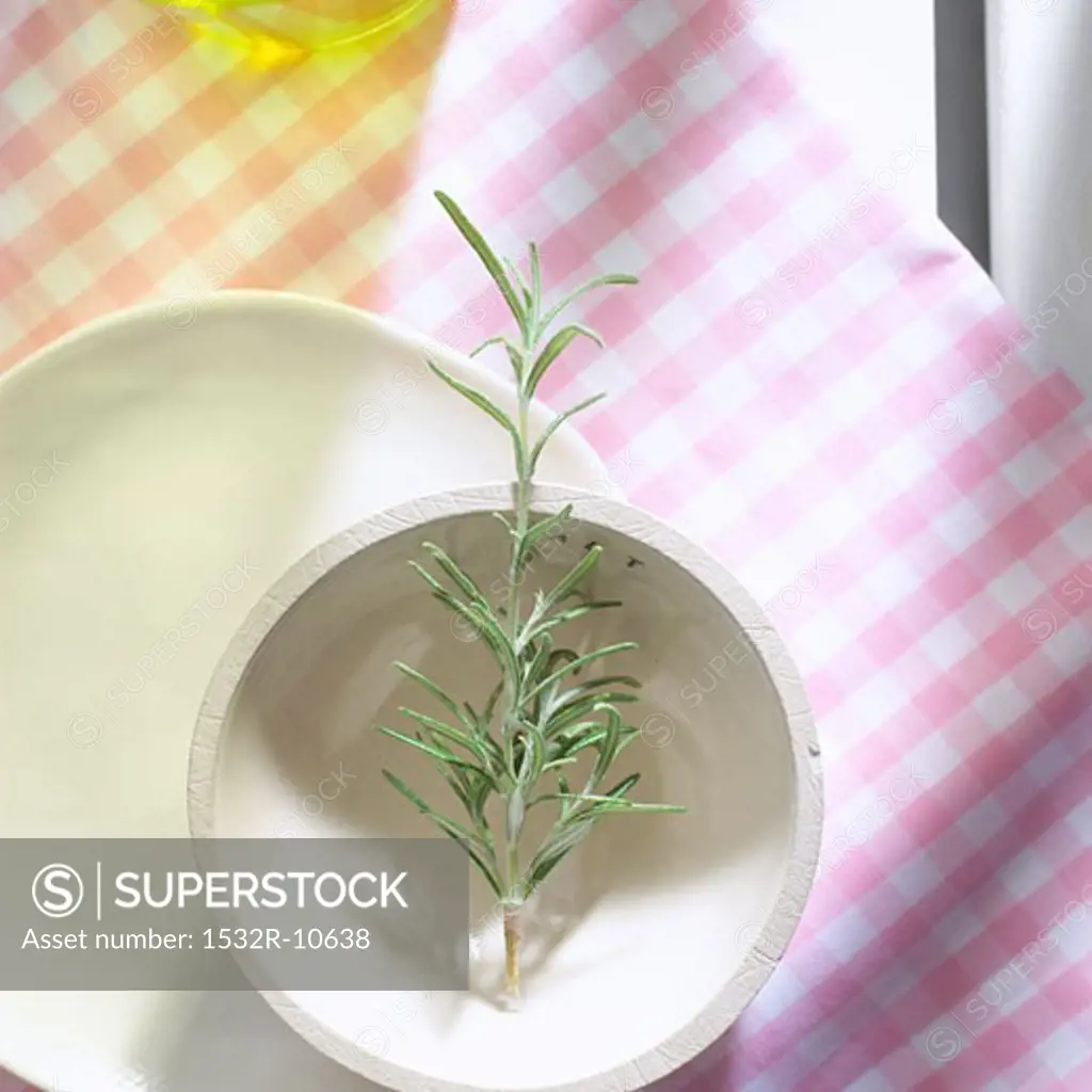 A sprig of rosemary in a bowl