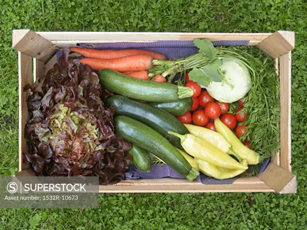 Crate of fresh vegetables and salad