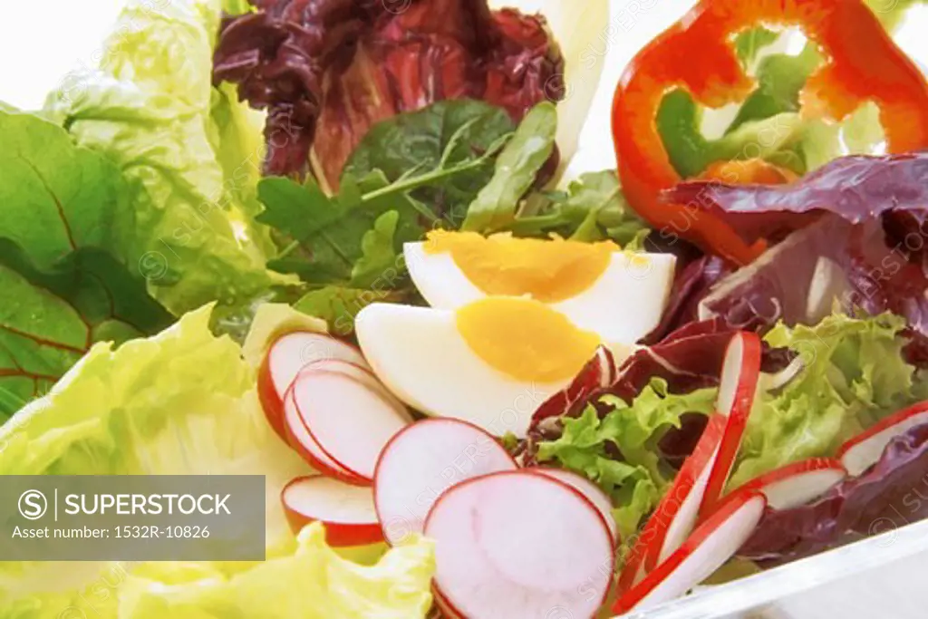 Healthy mixed salad