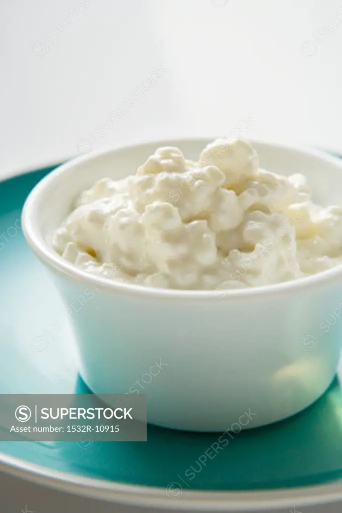Cottage cheese in a small bowl on plate