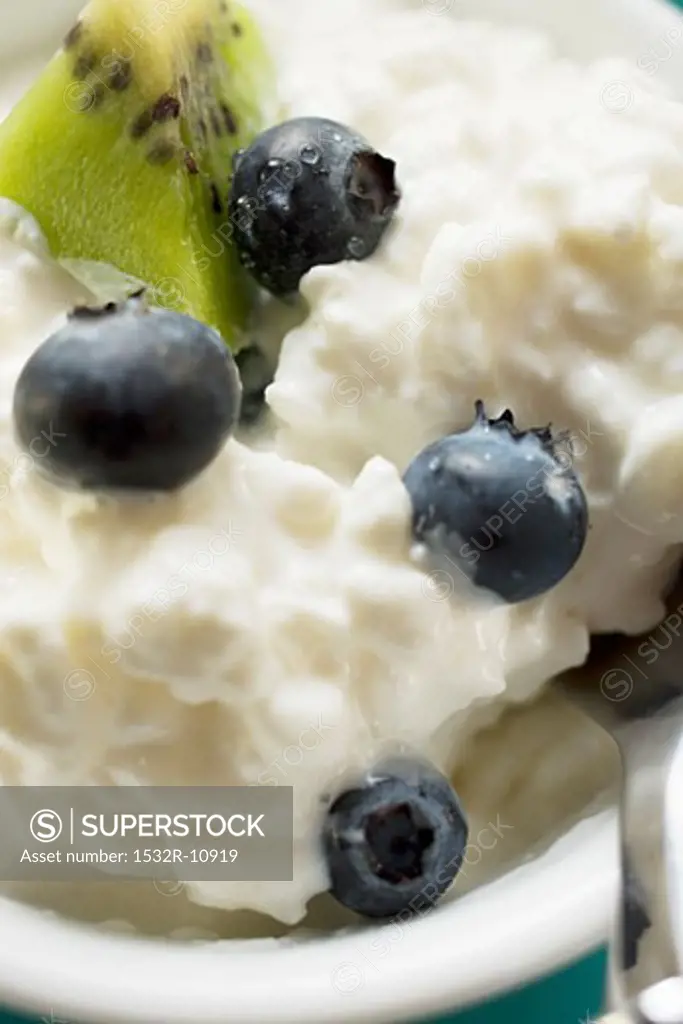 Cottage cheese with blueberries & kiwi fruit in a small bowl