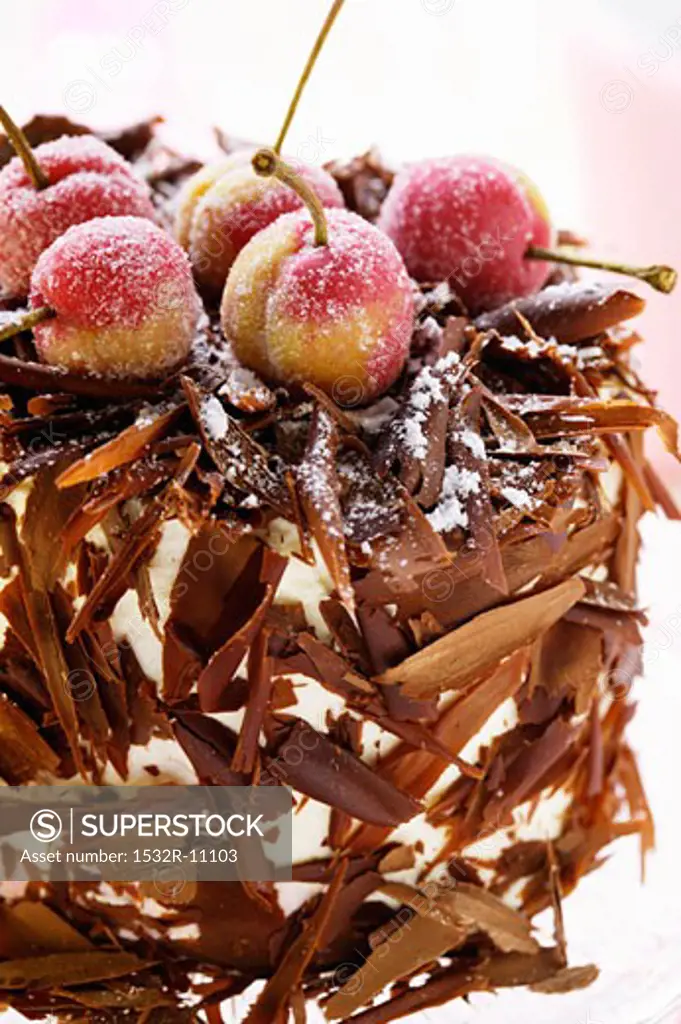 Black Forest cherry gateau with marzipan cherries (1)