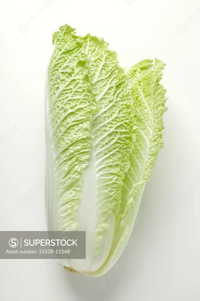 Fresh Chinese cabbage (1)