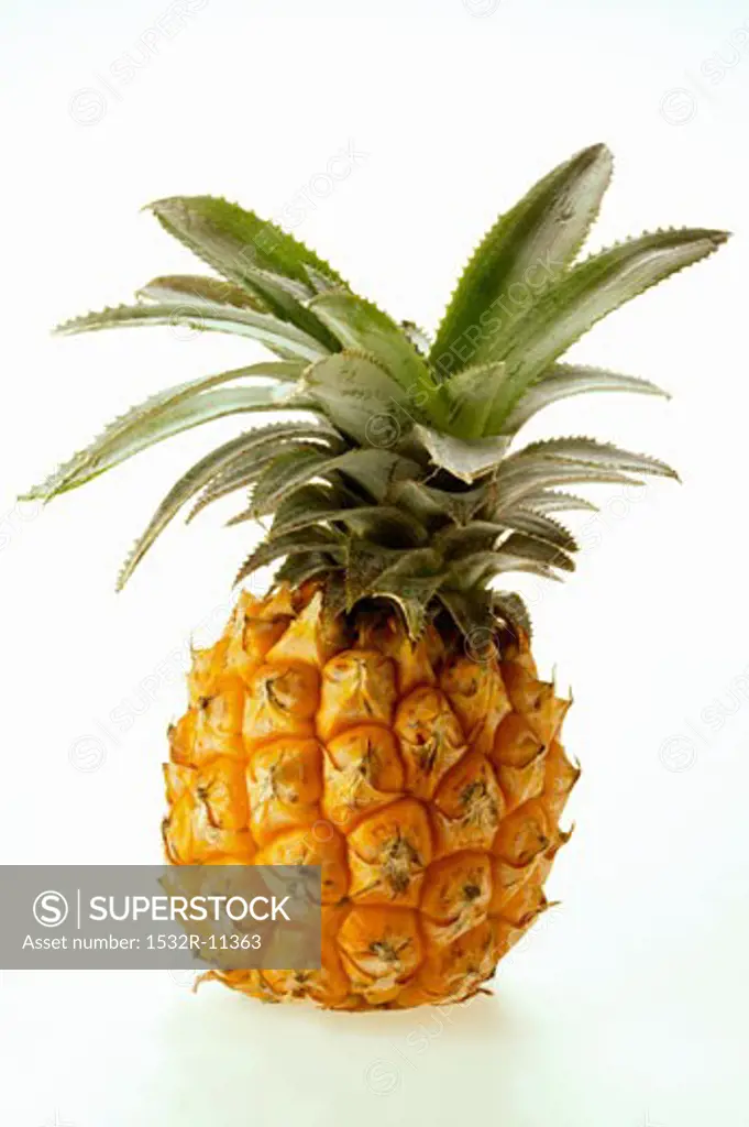 Fresh baby pineapple (3)
