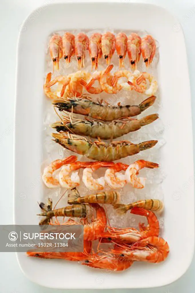 Various types of shrimps on crushed ice (1)