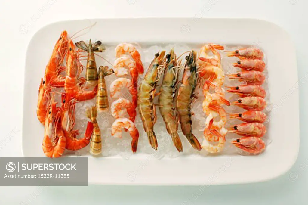 Various types of shrimps on crushed ice (3)