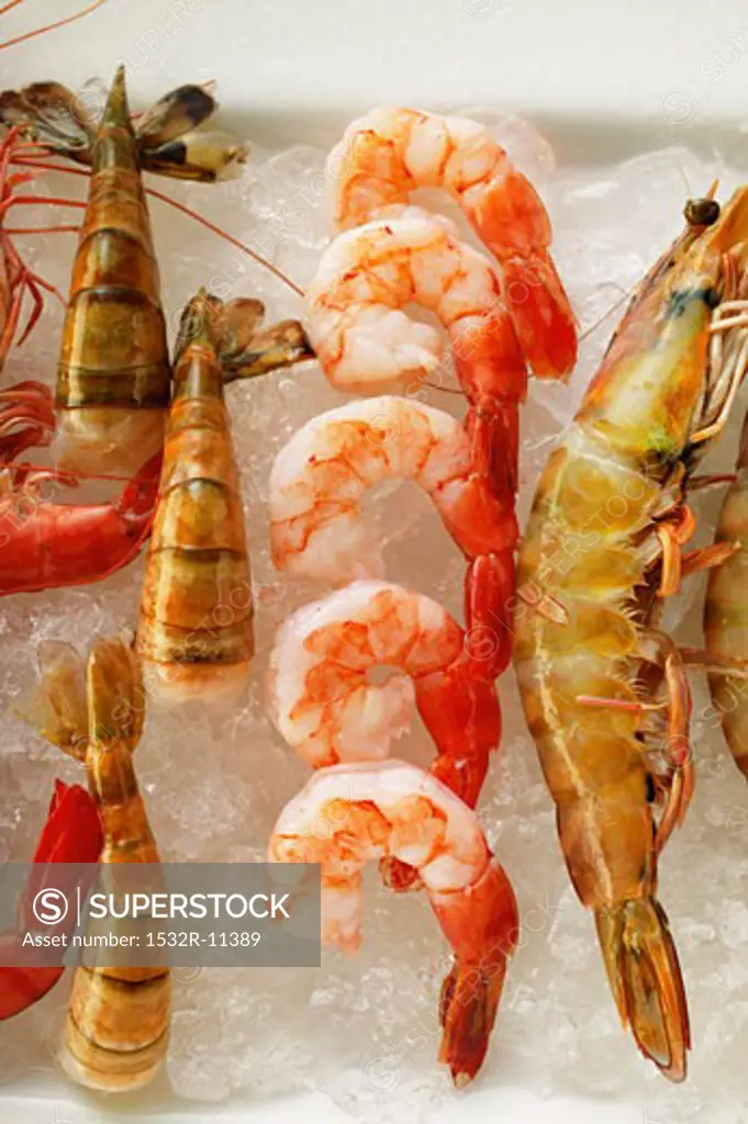 Various types of shrimps on crushed ice (1)