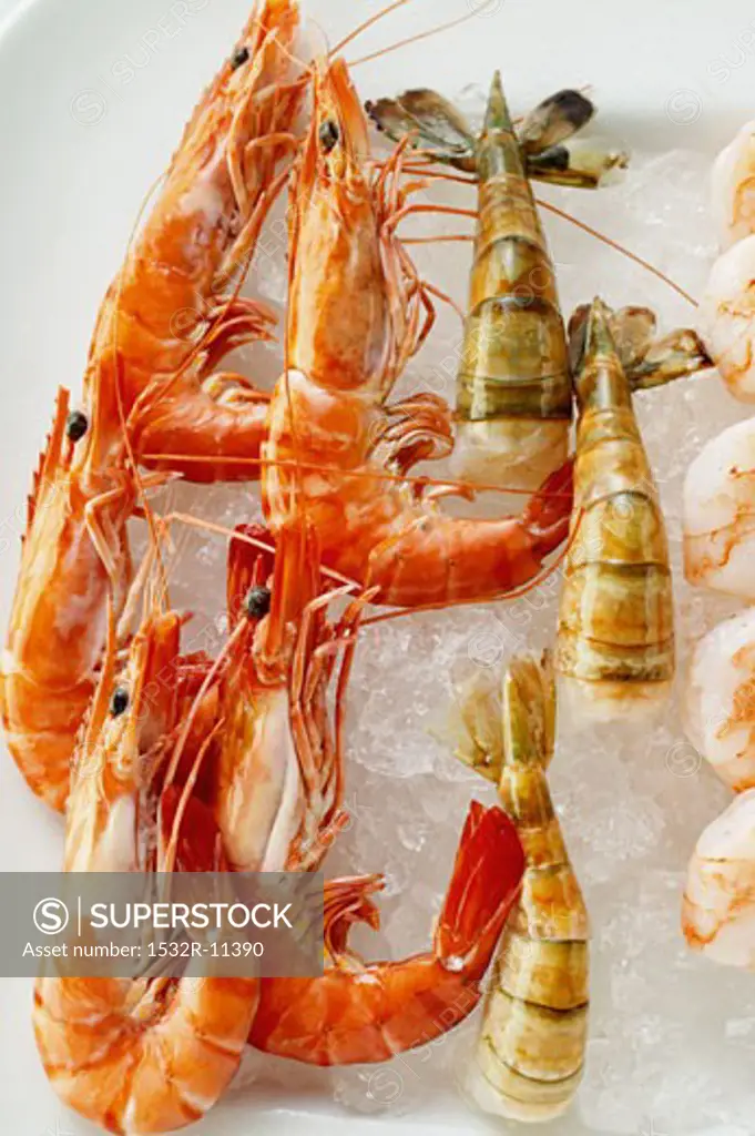 Various types of shrimps on crushed ice (2)
